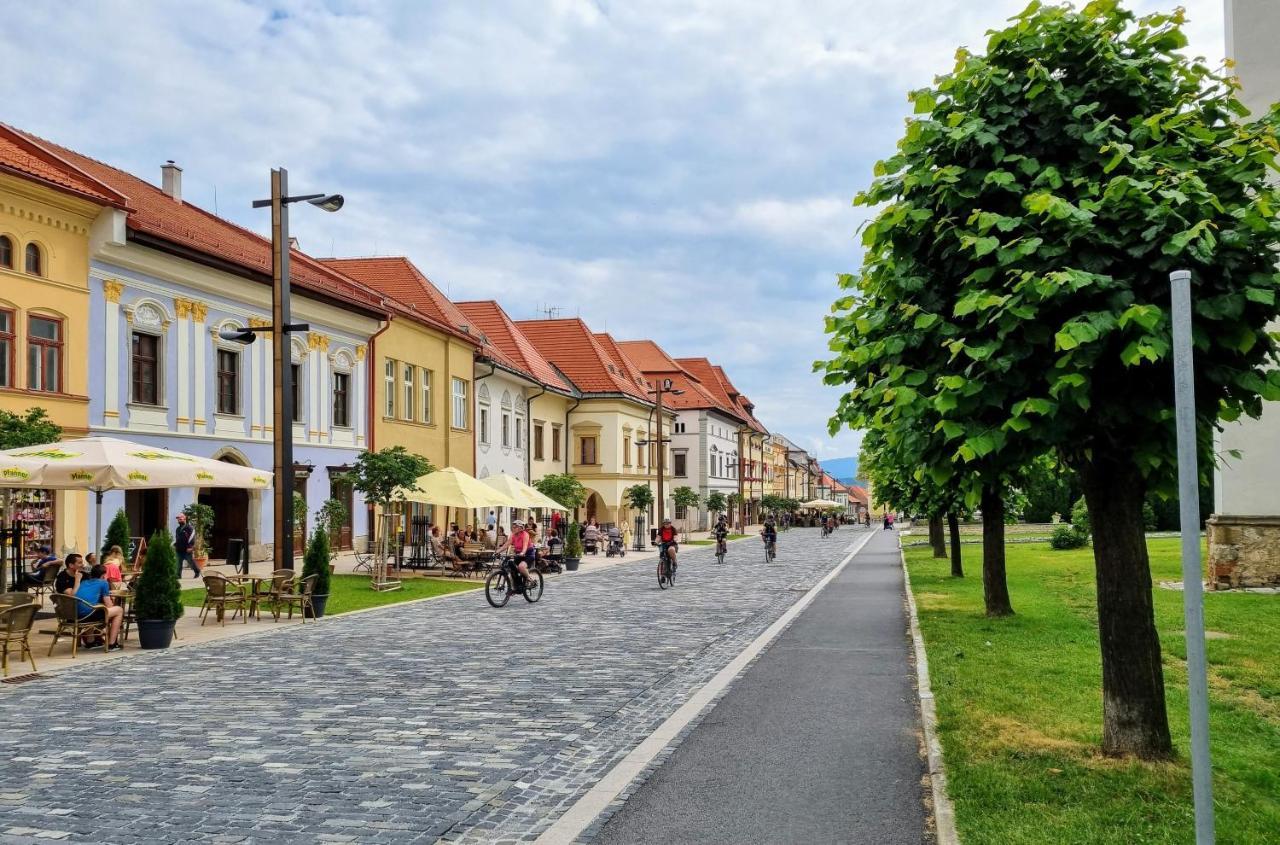 Apartment In A Historical House In The Center Of Levoča Exterior foto