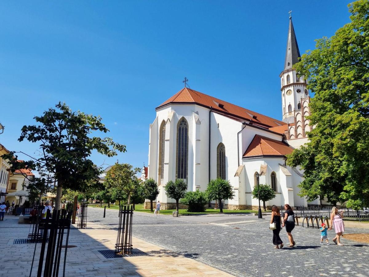 Apartment In A Historical House In The Center Of Levoča Exterior foto