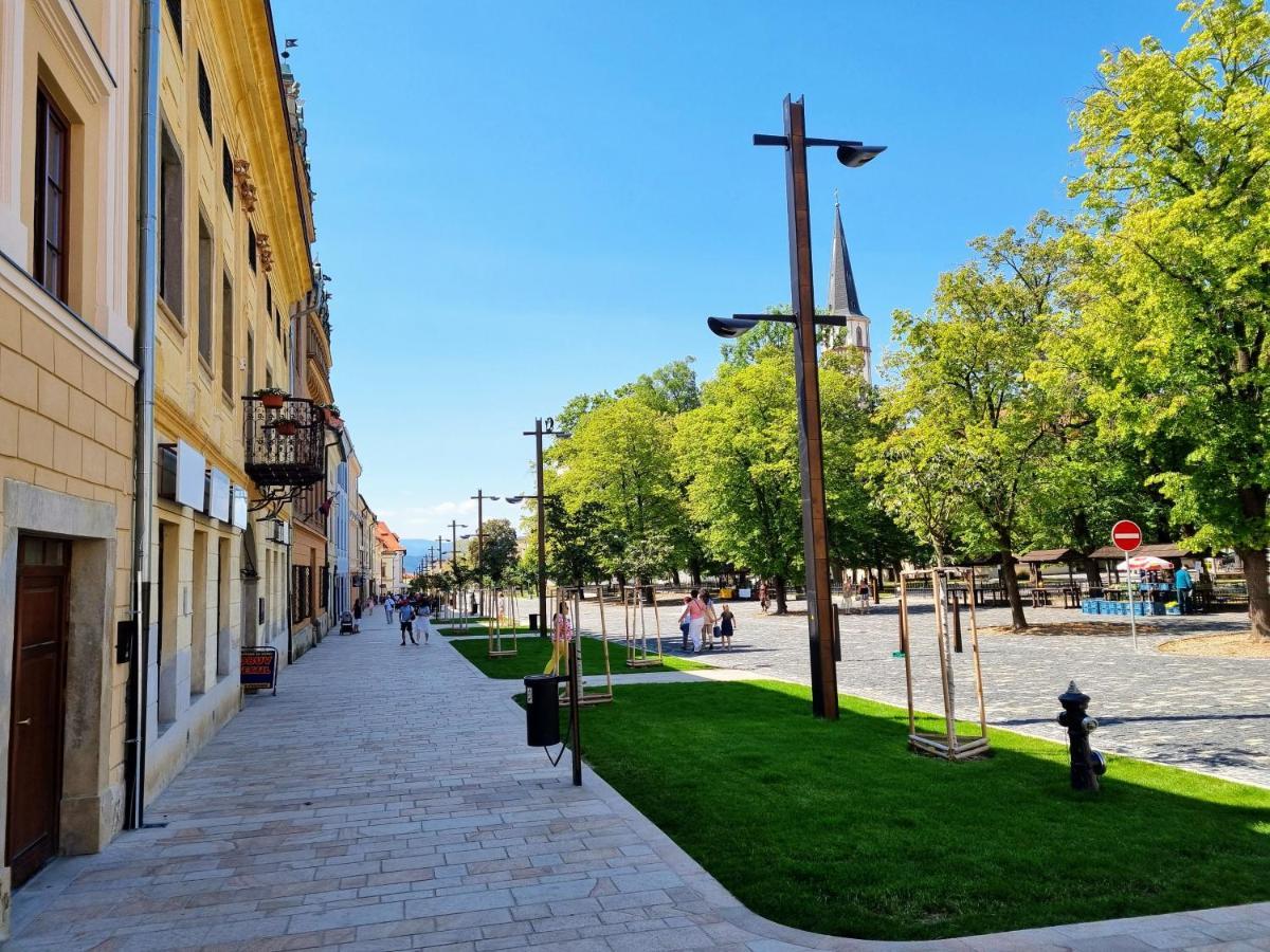 Apartment In A Historical House In The Center Of Levoča Exterior foto